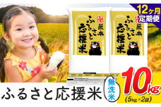 【12ヶ月定期便】米 無洗米 家庭用 熊本 ふるさと応援 定期便 米  10kg《申込み翌月から発送》 熊本県産 白米 精米 山江村 ブレンド米 国産 おうちご飯 予約 返礼品 発送 配送 SDGs わけあり むせんまい お米 おこめ