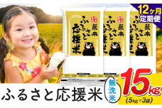 【12ヶ月定期便】米 無洗米 家庭用 熊本 ふるさと応援 定期便 米  15kg《申込み翌月から発送》 熊本県産 白米 精米 山江村 ブレンド米 国産 おうちご飯 予約 返礼品 発送 配送 SDGs わけあり むせんまい お米 おこめ