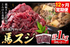 馬肉 馬スジ 500g × 2パック 12kg 12ヶ月定期便 五右衛門フーズ 《お申込み月の翌月から出荷開始》 熊本県 球磨郡 山江村 馬肉 肉 国産 スジ カレー 煮込み おでん おかず 送料無料
