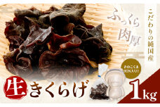 生きくらげ 1kg 鷹乃産業有限会社 《30日以内に出荷予定(土日祝除く)》熊本県 球磨郡 山江村 きくらげ きのこ 野菜
