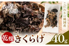 乾燥きくらげ 40g 鷹乃産業有限会社 《30日以内に出荷予定(土日祝除く)》熊本県 球磨郡 山江村 きくらげ きのこ 野菜