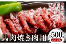 馬肉焼肉用 500g カット済 桜屋《30日以内に出荷予定(土日祝除く)》送料無料 肉 馬肉 焼肉