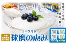 球磨の恵み ヨーグルト 1000g × 4個 球磨酪農農業協同組合《30日以内に出荷予定(土日祝除く)》熊本県 球磨郡 山江村 球磨の恵みヨーグルト 加糖 砂糖不使用 熊本県産 生乳 使用