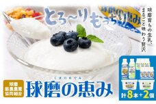 球磨の恵み ヨーグルト 計2個 のむヨーグルト 計8本 堪能セット 球磨酪農農業協同組合《30日以内に出荷予定(土日祝除く)》熊本県 球磨郡 山江村 球磨の恵みヨーグルト 球磨の恵みのむヨーグルト 加糖 砂糖不使用 熊本県産 生乳 使用