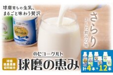球磨の恵み のむヨーグルト 450g×4本 150g×12本 球磨酪農農業協同組合《30日以内に出荷予定(土日祝除く)》熊本県 球磨郡 山江村 球磨の恵みのむヨーグルト 加糖 砂糖不使用 熊本県産 生乳 使用