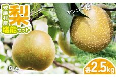 FKPZ-01 【先行予約】球磨村産梨　堪能セット（極あまっ！甘太＆マンゴー梨　各2.5kg） マンゴー梨 極あま セット 果物 フルーツ