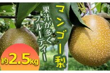 FKP9-652 【先行予約】マンゴー梨（王秋梨）約2.5kg なし ナシ 梨 デザート フルーツ 果物 くだもの 果実 食品