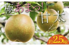 FKP9-651 【先行予約】極あまっ！甘太 (約2.5kg) なし ナシ 梨 デザート フルーツ 果物 くだもの 果実 食品