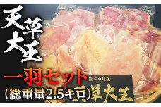 FKP9-343 天草大王　一羽セット(総重量2.5キロ)