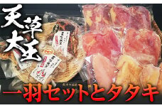 FKP9-346 天草大王　一羽セットとタタキ