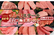 FKP9-520 【12カ月定期便】あか牛ステーキ12種　極上食べ比べセット
