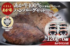 FKP9-504 くまモンパッケージあか牛100％ハンバーグセット（120g×6個）