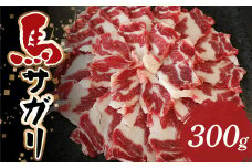 FKP9-587 馬サガリ 300g