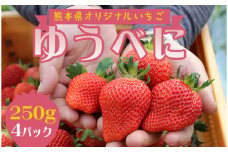 FKP9-539 【先行予約】球磨村産いちご/ゆうべに 2箱 (250g×4パック)
