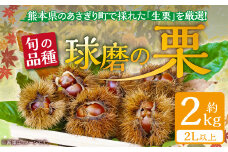 【発送時期：2025年9月上旬～10月上旬】熊本県ＪＡくま産　球磨の栗　2kg(2L以上　旬な品種)
