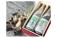 球磨焼酎　朝霧の雫・頑固一代箱入り2本組セット