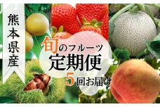 熊本県ＪＡくま産　球磨の季節のフルーツセット(苺、メロン、桃、梨、栗)