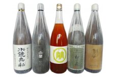 球磨焼酎　松の泉　飲み比べ5本(1800ml×5本)セット