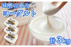 とろ～り食感!!球磨の恵みヨーグルト 加糖タイプ 1kg×3パック