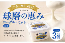 とろ～り食感!!球磨の恵みヨーグルト 加糖タイプ 1kg×3パック