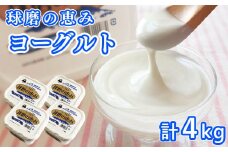 とろ～り食感!!球磨の恵みヨーグルト 加糖タイプ 1kg×4パック