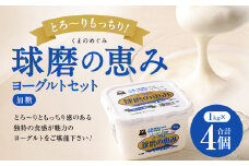とろ～り食感!!球磨の恵みヨーグルト 加糖タイプ 1kg×4パック