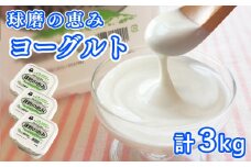 とろ～り食感!!球磨の恵みヨーグルト 砂糖不使用タイプ 1kg×3パック