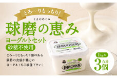 とろ～り食感!!球磨の恵みヨーグルト 砂糖不使用タイプ 1kg×3パック