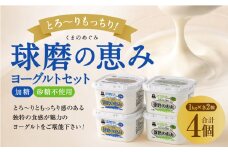 とろ～り食感!!球磨の恵みヨーグルトセット1kg×4パック (加糖・砂糖不使用 各2パック)