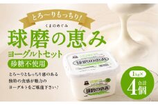 とろ～り食感!!球磨の恵みヨーグルト 砂糖不使用タイプ 1kg×4パック