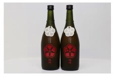 球磨焼酎　堤酒造　蔵八梅酒 720ml×2本