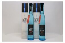球磨焼酎　堤酒造　無限大 300ml×2本