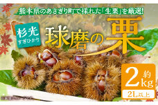 【発送時期：2025年9月上旬～】熊本県ＪＡくま産　球磨の栗　杉光 2kg(2L以上)