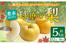 【発送時期：2025年8月中旬～8月下旬】熊本県ＪＡくま産　球磨の梨　豊水 5kg（12玉～16玉）