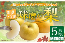 【発送時期：2025年8月下旬～9月上旬】熊本県ＪＡくま産　球磨の梨　あきづき 5kg（12玉～16玉）