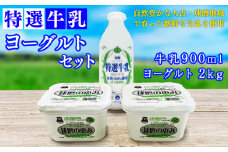 特選牛乳・球磨の恵みヨーグルト(砂糖不使用1kg×2)セット【牛乳900ml：賞味期限　到着後6日】
