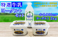 特選牛乳・球磨の恵みヨーグルト(加糖1kg×2)セット【牛乳900ml：賞味期限　到着後6日】