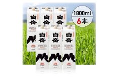 高橋酒造　本格米焼酎「白岳パック25度1,800ml」6本セット