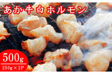 熊本県産あか牛　白ホルモン　500ｇ（250ｇ×２パック）