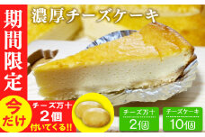 【期間限定】濃厚チーズケーキ 10個入り(2個入×5パック)　今だけチーズ万十2個付き