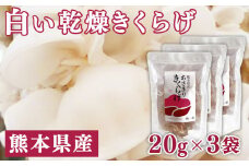 熊本県産　白い乾燥きくらげ20g×3袋　【キクラゲ / 木耳 / 国産】