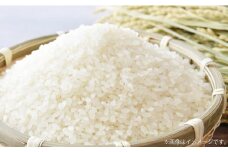 【令和7年産】 特別栽培米ヒノヒカリ （精米） 10kg 予約 新米 ヒノヒカリ 精米 井上農園 米 お米 白米 【2025年10月上旬～12月下旬迄発送予定】