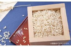 【令和7年産】 特別栽培米ヒノヒカリ （玄米） 10kg 予約 新米 ヒノヒカリ 玄米 井上農園 米 お米 【2025年10月上旬～12月下旬迄発送予定】