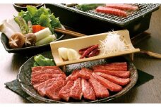 くまもと あか牛 （GI） 焼肉用 500g 牛肉 牛 焼き肉用 焼肉 焼き肉 冷凍