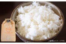 【令和7年産】 くまさんの輝き 10kg （5kg×2袋） 【2025年10月下旬～2026年3月下旬迄発送予定】 お米 米 精米 白米 ごはん ご飯 熊本県 あさぎり町