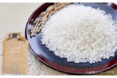 【令和7年産】 ヒノヒカリ 10kg（5kg×2袋） 【2025年10月下旬～2026年3月下旬迄発送予定】 お米 米 精米 白米 ごはん ご飯 熊本県 あさぎり町