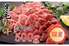 くまもと黒毛和牛 焼肉用 500ｇ 黒毛和牛 焼肉【お届け時期：入金確認後２ヶ月前後で発送】