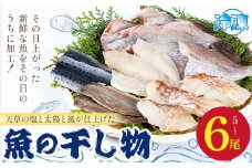 天草の塩と太陽と風が仕上げた魚の干し物 高橋商店《30日以内に出荷予定(土日祝除く)》干物 天然塩 天草近海 5～6尾 魚屋 手作り 天草 苓北 熊本 送料無料【配送不可地域あり】