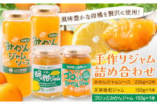 果樹園のジャム詰め合わせ フルーツ 果物 《90日以内に出荷予定(土日祝除く)》 くだもの ジャム ソース ジャムソース 柑橘 晩柑 ミカン みかん 手作り セット 熊本県 苓北町 株式会社 山下果樹園