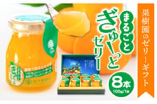 まるごとぎゅーっとゼリー 100g × 8本 《90日以内に出荷予定(土日祝除く)》 | フルーツ 果物 くだもの ゼリー フルーツゼリー 果物ゼリー くだものゼリー みかんゼリー ミカンゼリー みかん ミカン 不知火 清見 ポンカン あまくさ晩柑 みかん ブレンド 熊本県 苓北町 株式会社 山下果樹園